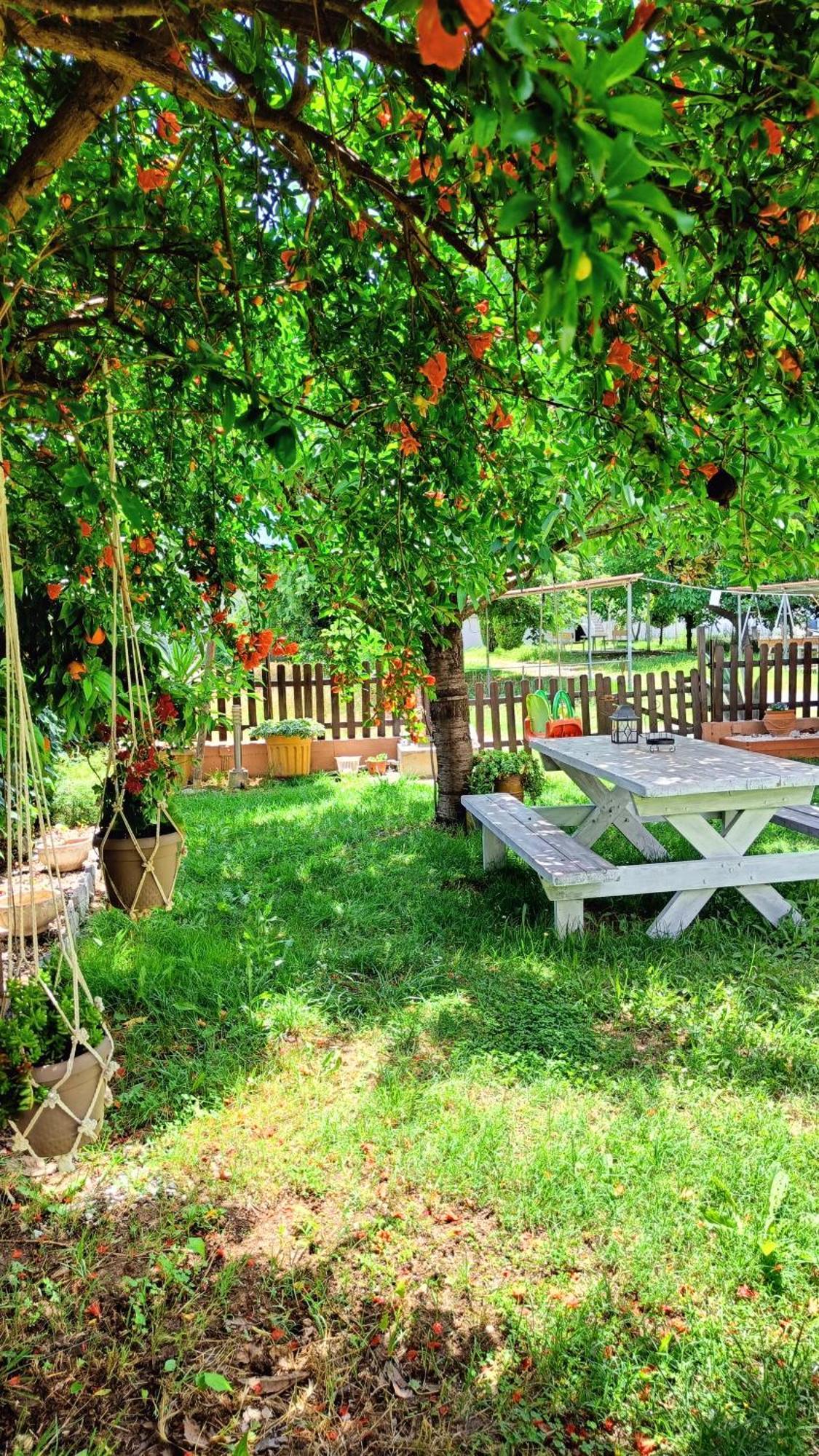 Garden House Katerina Lejlighedshotel Leptokaryá Eksteriør billede
