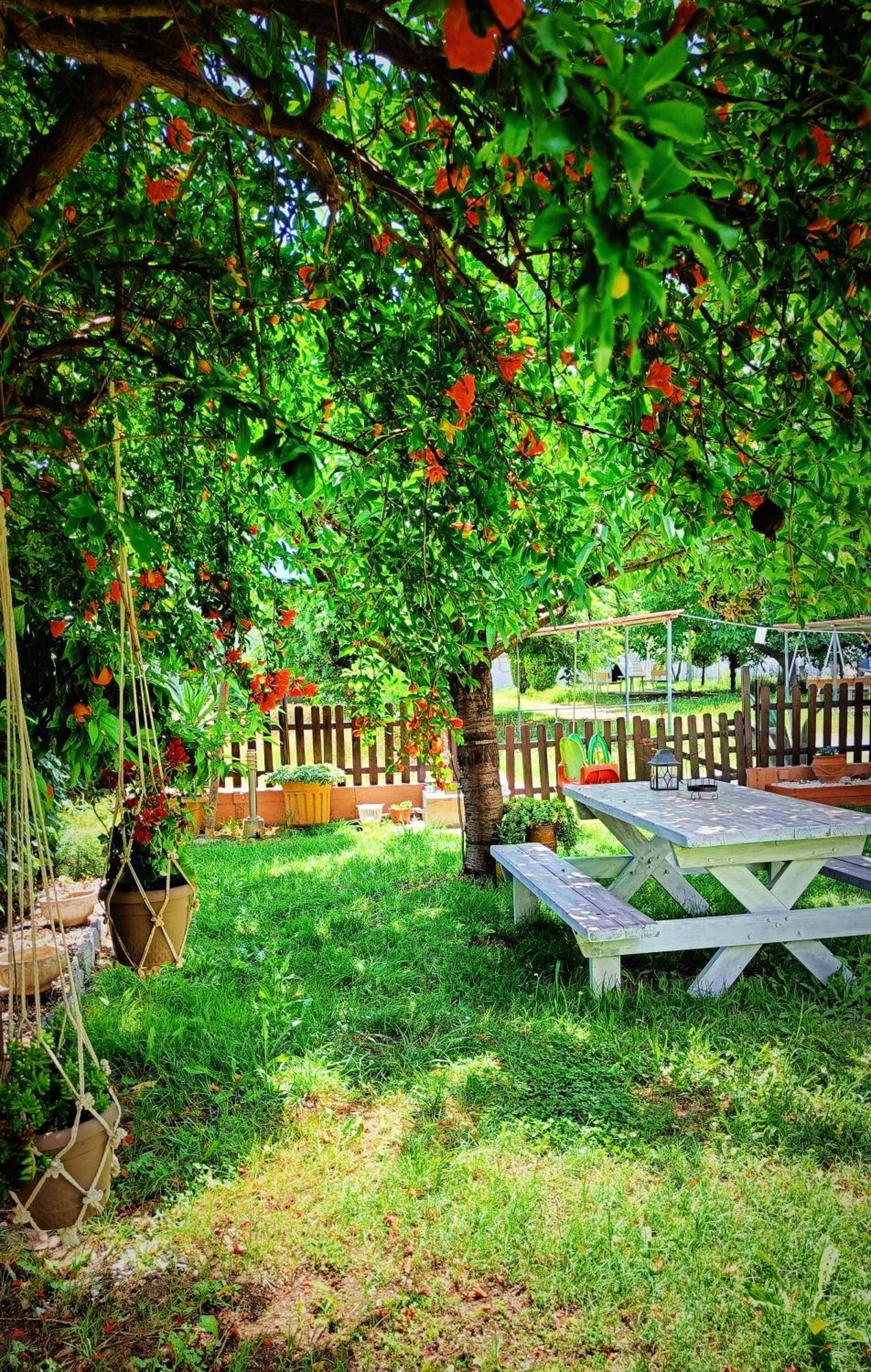 Garden House Katerina Lejlighedshotel Leptokaryá Eksteriør billede